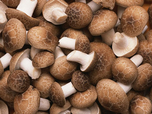 蔬菜配送實(shí)施規(guī)范化管理才能更長久